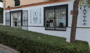 Copia de Copia de Copia de Copia de Portada Blog 18 300x175