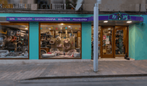 Copia de Copia de Copia de Copia de Portada Blog 19 300x175