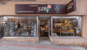 Portada Blog 14 300x175