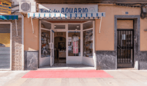 Portada Blog 39 300x175