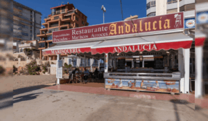 Portada Blog 5 300x175